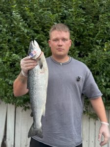 Fresh Whole Scottish Salmon (3–5kg, by weight)