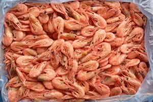 Boiled Shrimp 120/150 (5kg, Dry Freeze)