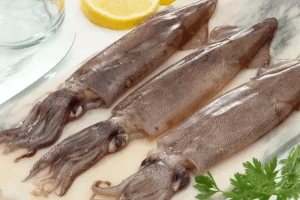 Fresh Squid