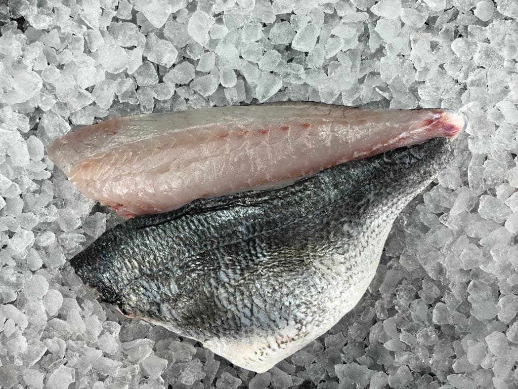 Gilt-Head Bream Fillet (15+-fillets, 2kg Box) - Mr Oyster