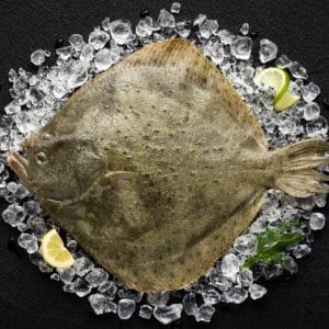 Turbot Fish (1.5–3kg, LUX Spain Quality)