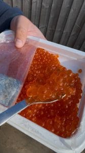 Premium Chum Salmon (Keta) Caviar, Lightly Salted, Frozen (500g)